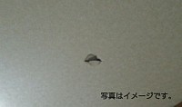 教室の天井